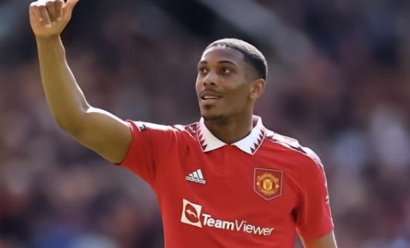 他的组织和 他的组织和