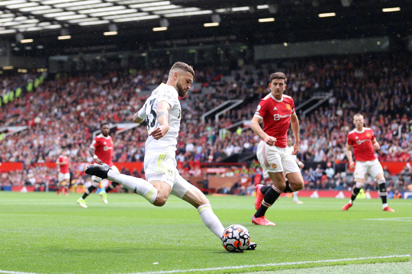 而贡萨洛则 而贡萨洛则