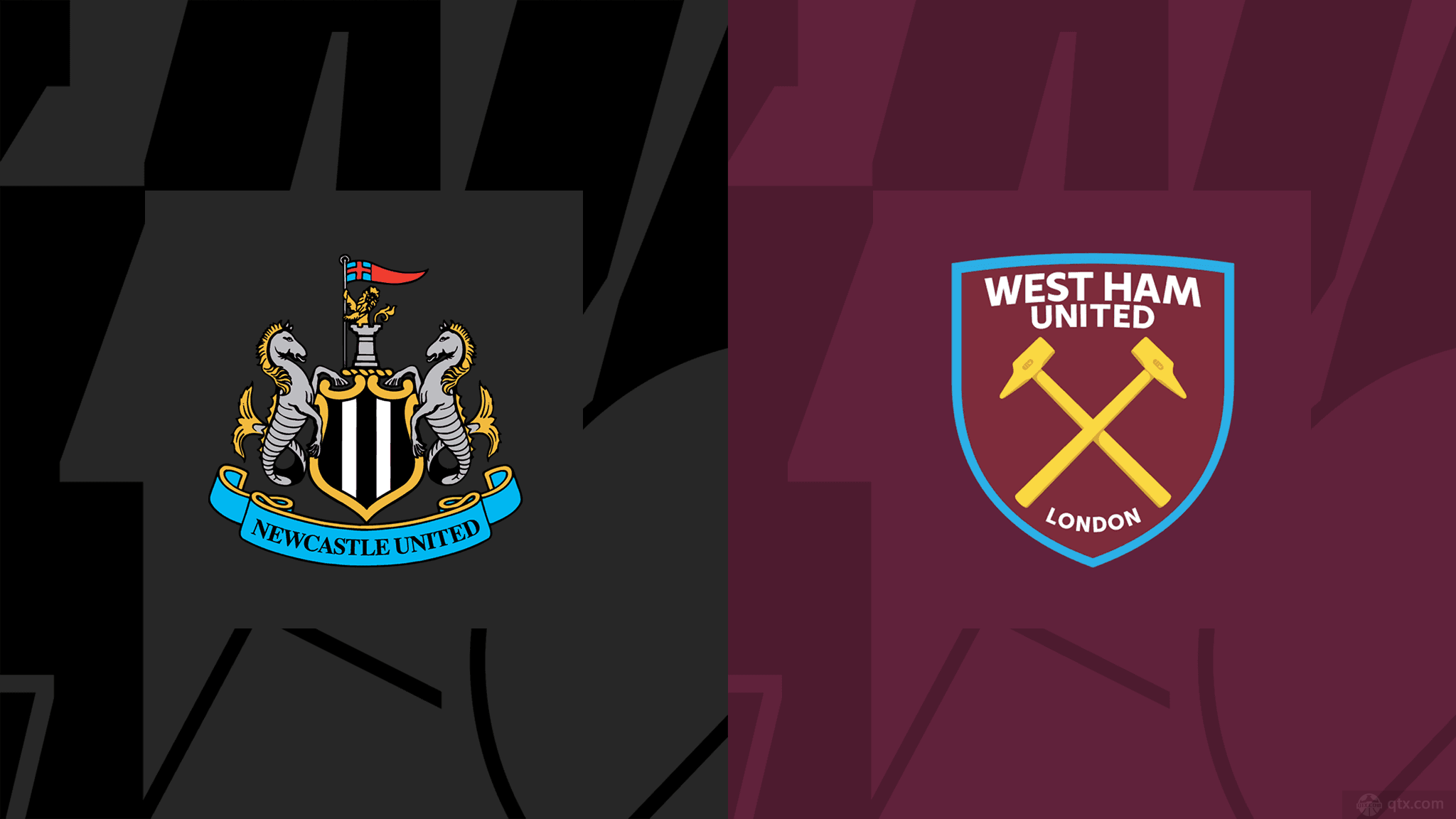 和球迷关注 和球迷关注